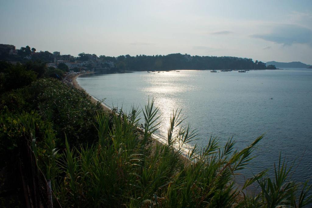 Aphrodite Skiathos Megali Ammos  Exterior photo