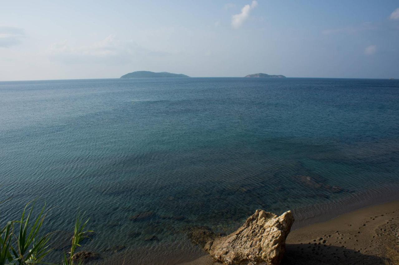 Aphrodite Skiathos Megali Ammos  Exterior photo